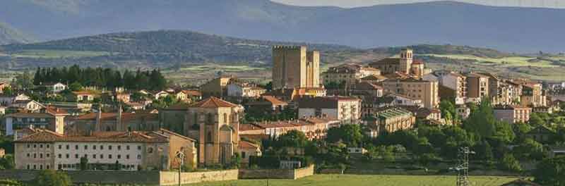 ANTICO en MEDINA DE POMAR